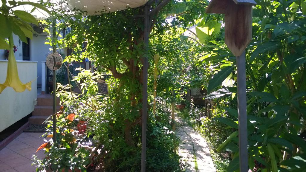 B&B Mare E Sole Бриндизи Экстерьер фото
