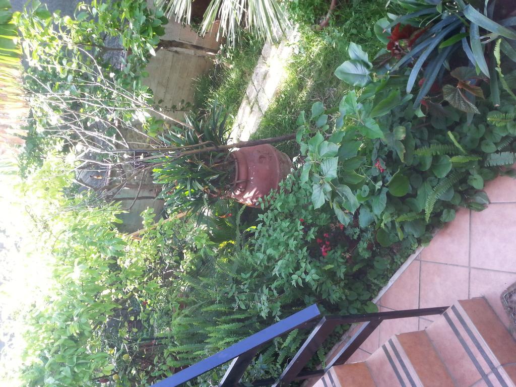 B&B Mare E Sole Бриндизи Экстерьер фото